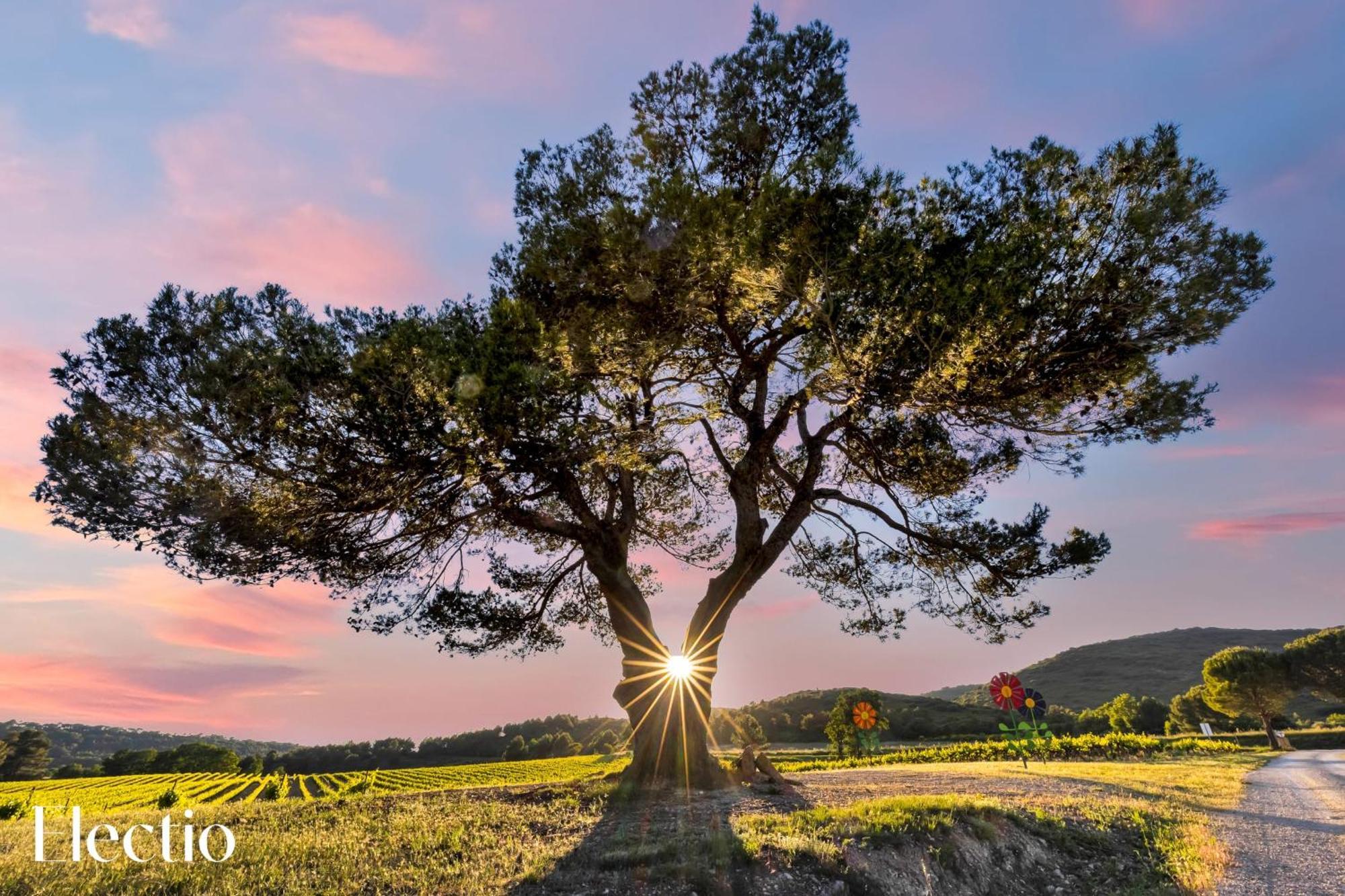 Bastide Domaine Tour Campanets Aparthotel Le Puy-Sainte-Reparade Luaran gambar