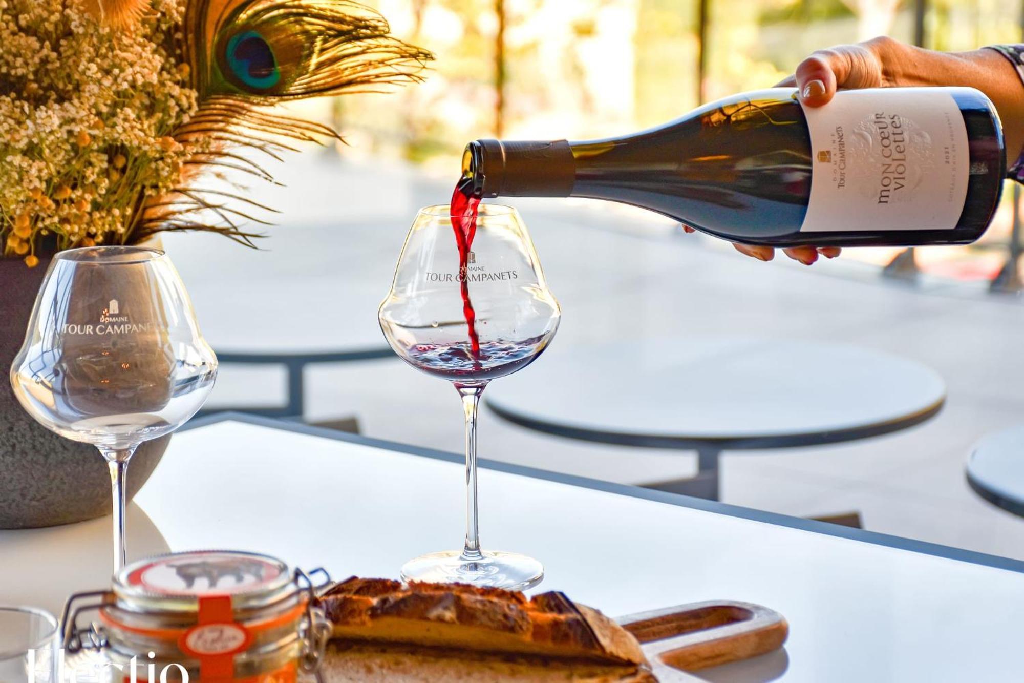 Bastide Domaine Tour Campanets Aparthotel Le Puy-Sainte-Reparade Luaran gambar